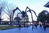Louise Bourgeois "Maman" | Roppongi Hills|Coordination & Project Management